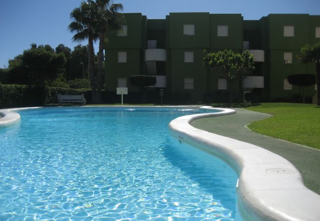 Apartamento en Xeraco Playa - JUNCOS 40 bajo