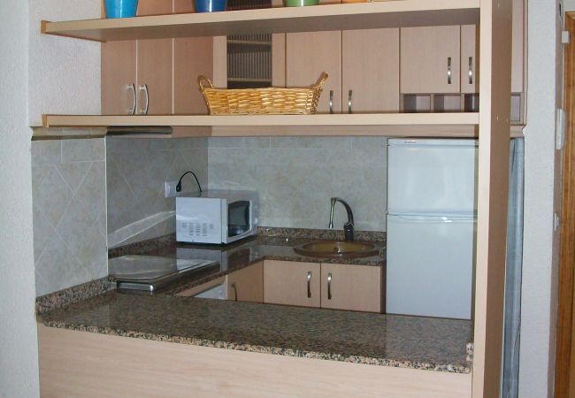 Apartment in Grao de Gandia - INFANTE E6 - 9º (ALQUILER SOLO A FAMILIAS)