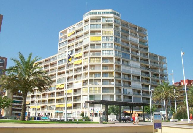 Apartment in Grao de Gandia - INFANTE E6 - 9º (ALQUILER SOLO A FAMILIAS)