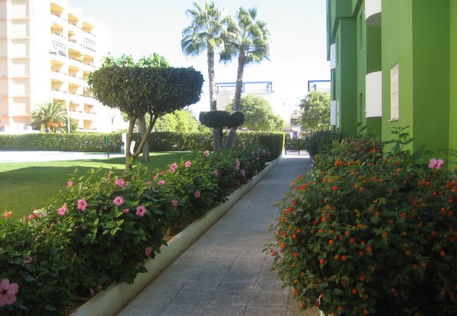 Apartment in Playa Xeraco - JUNCOS 43 - 2º