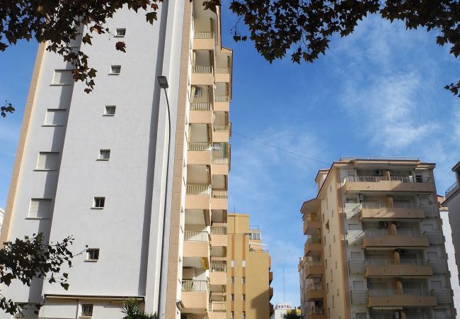 Apartment in Grao de Gandia - JARDIN X - 3ª - 6º - G (ALQUILER SOLO A FAMILIAS)